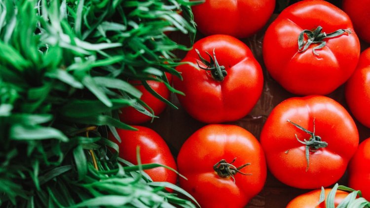 Tomato Price has reached to Rs 100 per kg, Due to heavy rainfall and a shortage in supply
